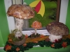 dsc08100
